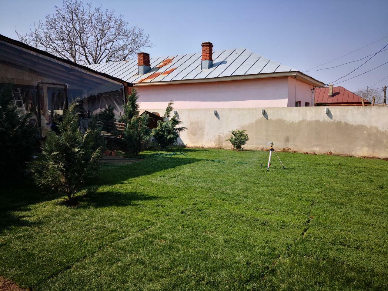 Dnt House &Spa Cîrcea Extérieur photo