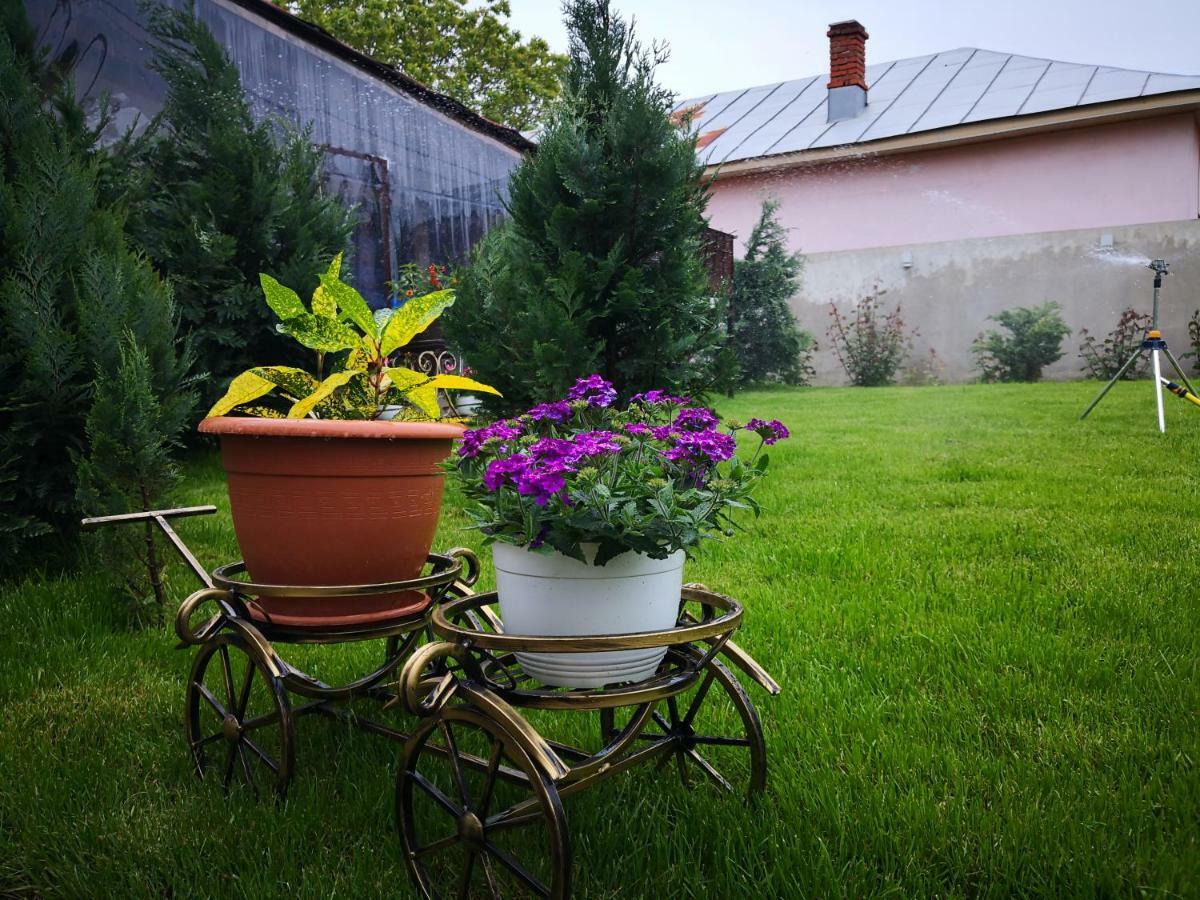 Dnt House &Spa Cîrcea Extérieur photo